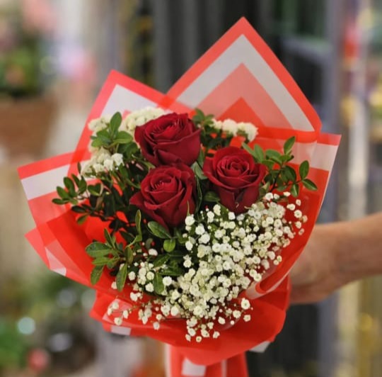 Three red roses with baby's breath in red and white striped paper
